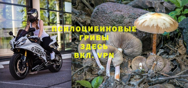 синтетический гашиш Арсеньев