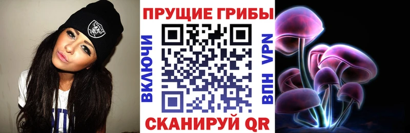 Купить  Боготол  Галлюциногенные грибы ЛСД 